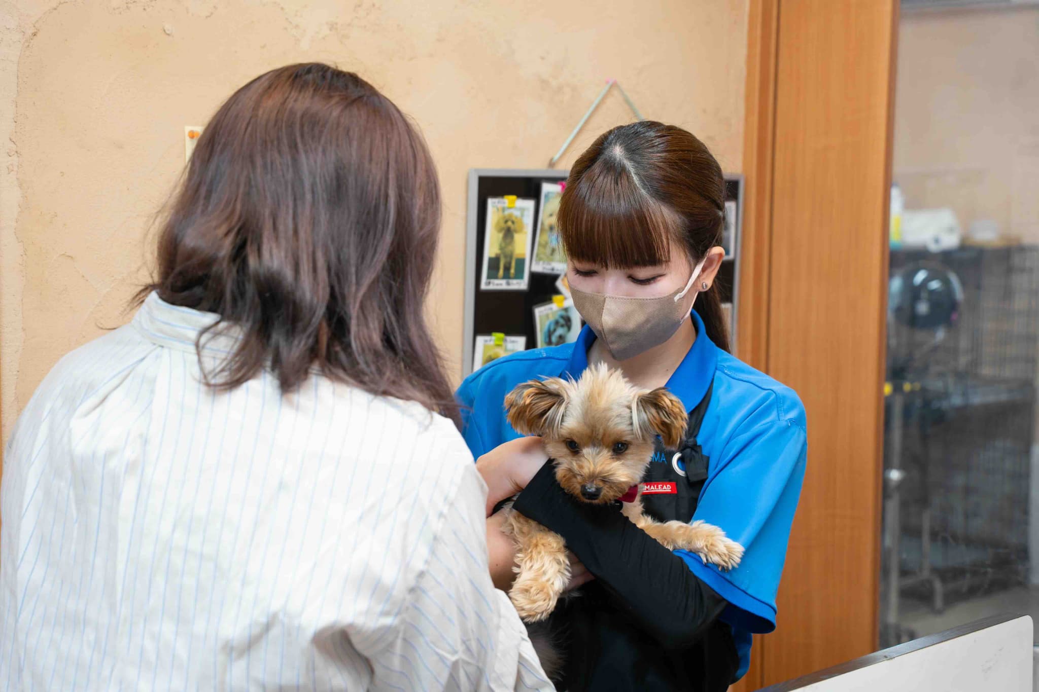 業務内容の画像